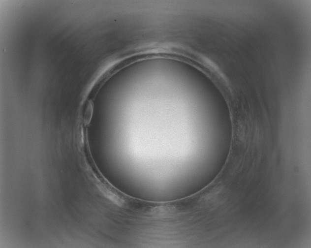 X0000063521368200601201114