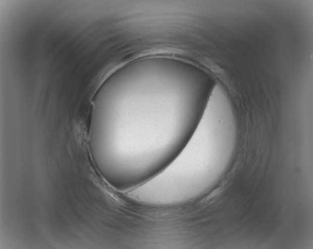X0000063521369200601201114
