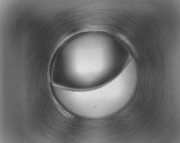 X0000063521372200601201114