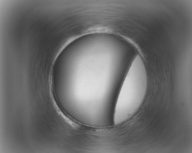 X0000063521383200601201114