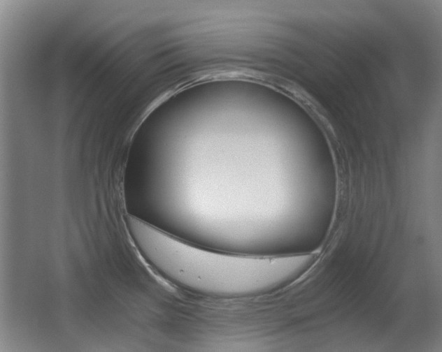 X0000063521385200601201114