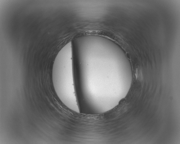 X0000063521396200601201113