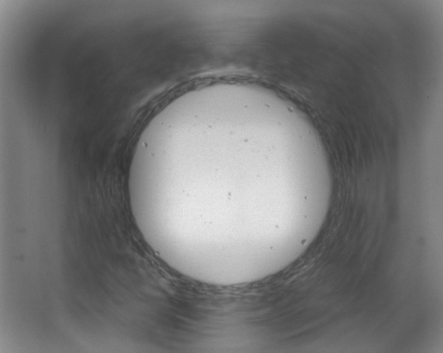 X0000063521398200601201113