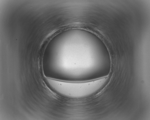 X0000063521402200601201113