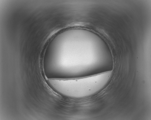 X0000063521404200601201113
