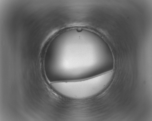 X0000063521406200601201113