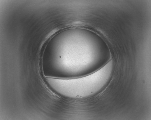 X0000063521410200601201113