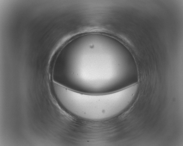 X0000063521414200601201113