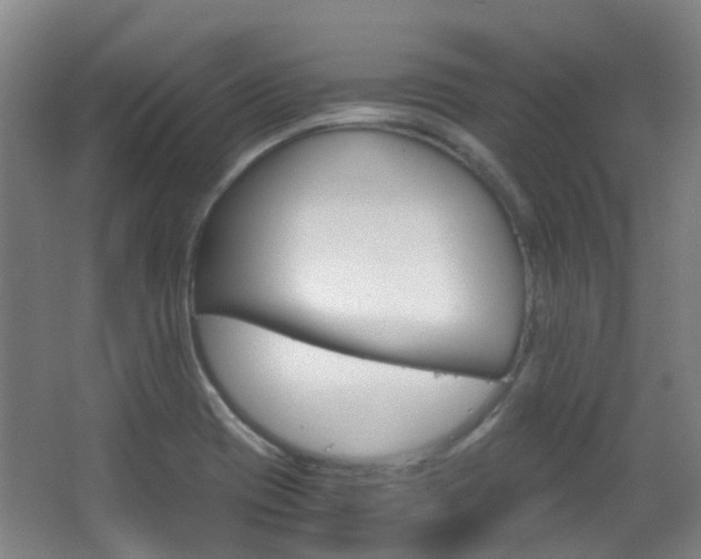 X0000063521417200601201113