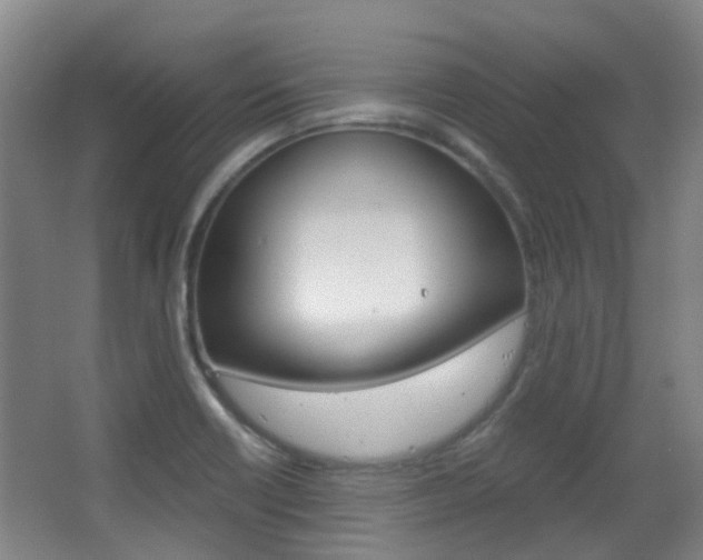X0000063521418200601201113