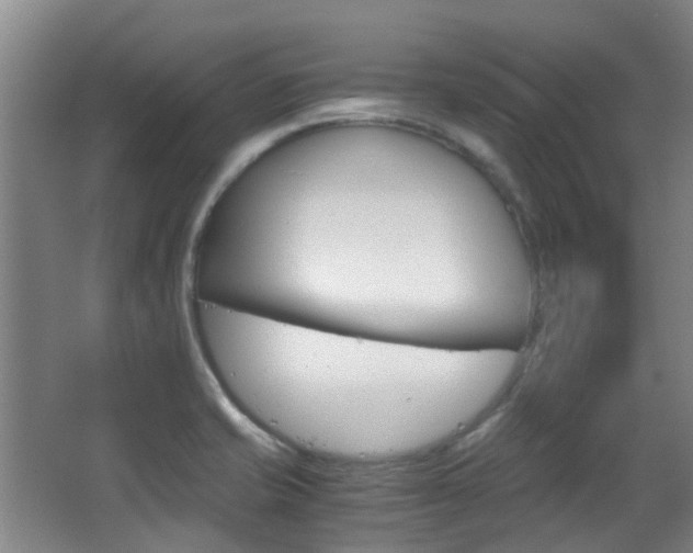 X0000063521421200601201113