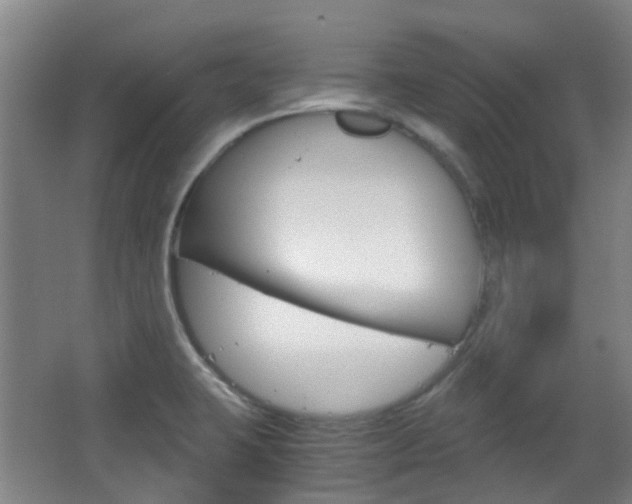 X0000063521423200601201113