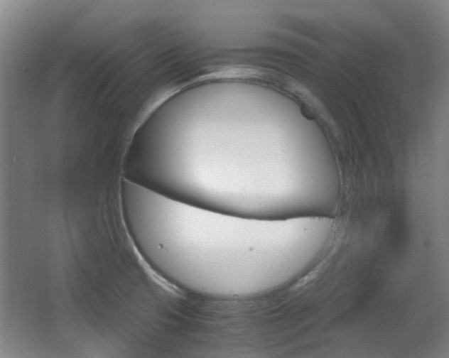 X0000063521425200601201113