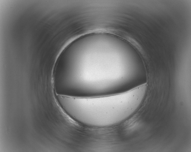 X0000063521428200601201113