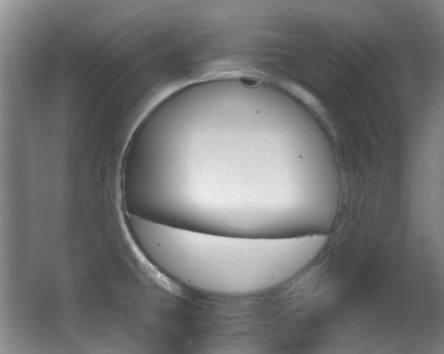 X0000063521431200601201113