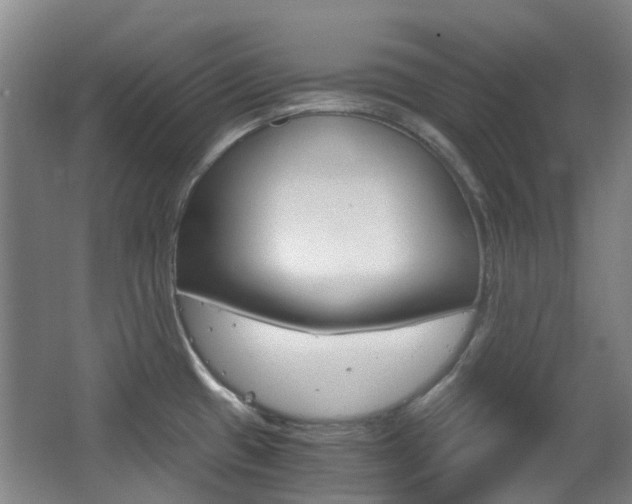 X0000063521433200601201113