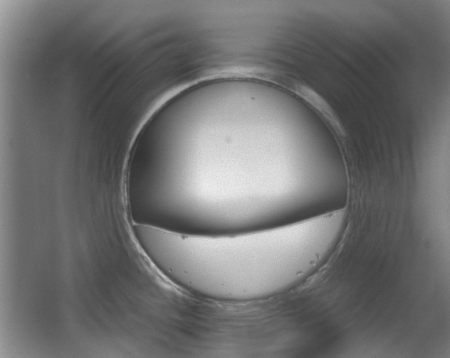 X0000063521436200601201113