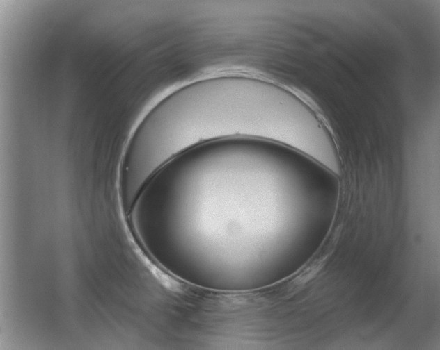 X0000063521438200601201114