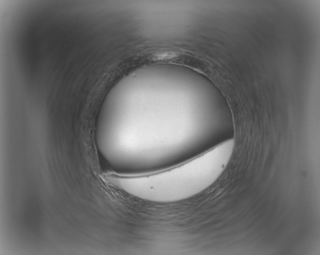 X0000063521441200601201113