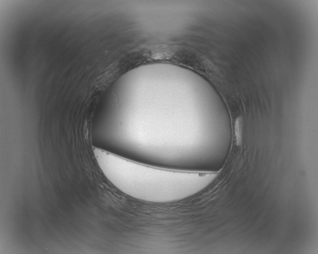 X0000063521443200601201113