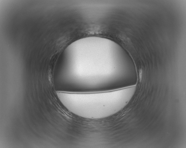 X0000063521444200601201113