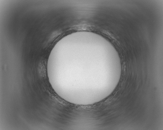 X0000063521446200601201113
