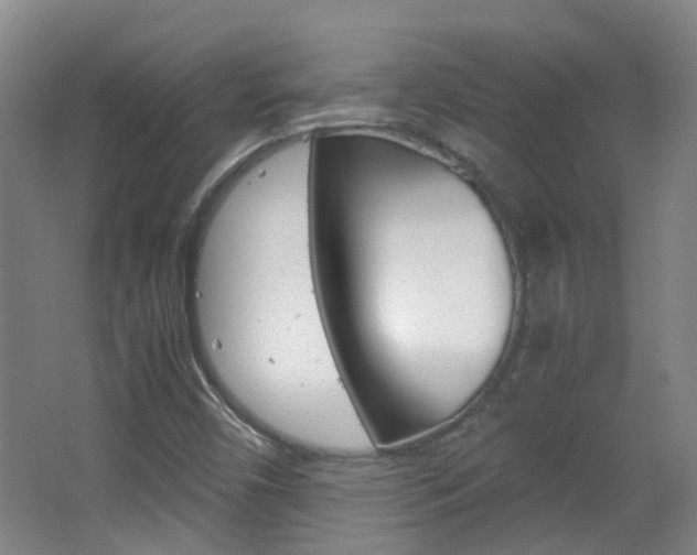 X0000063521450200601201113