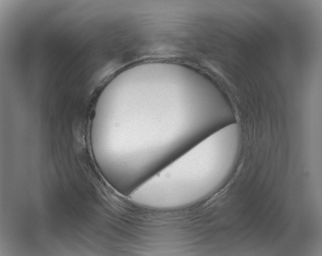 X0000063521451200601201113
