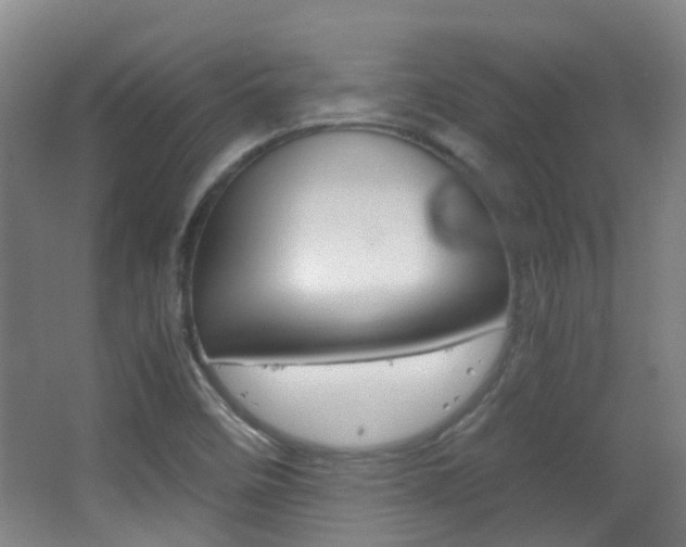 X0000063521458200601201112