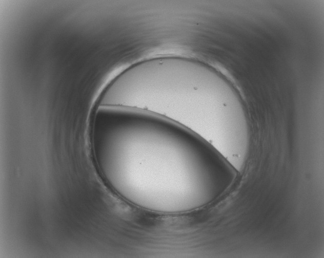 X0000063521469200601201112