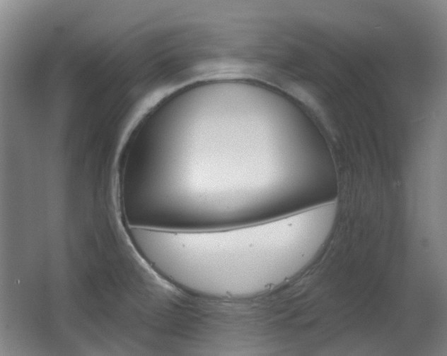 X0000063521472200601201112