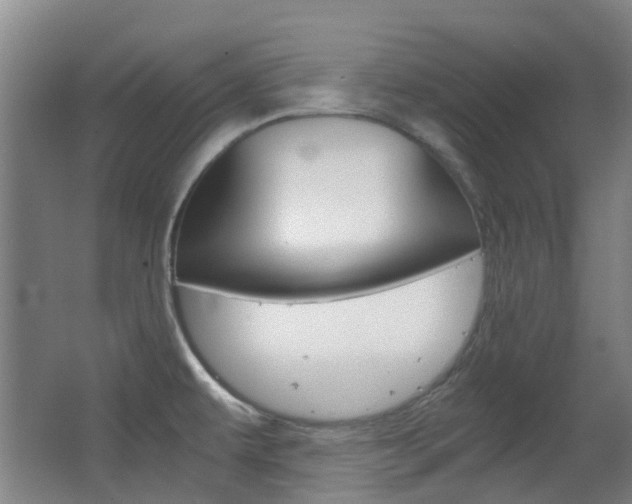 X0000063521479200601201112
