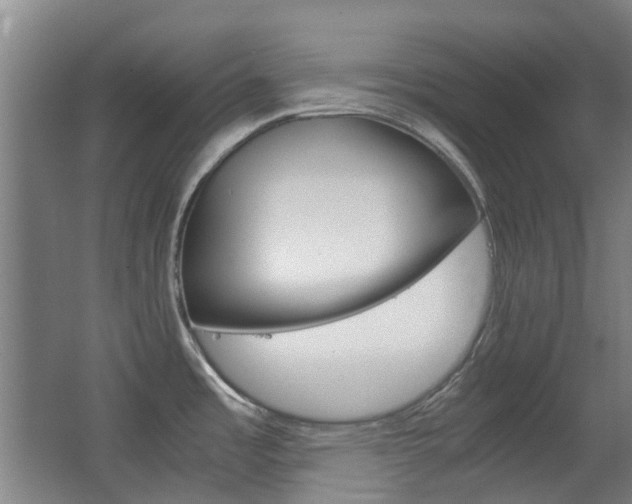 X0000063521485200601201112