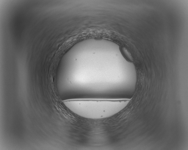 X0000063521489200601201111