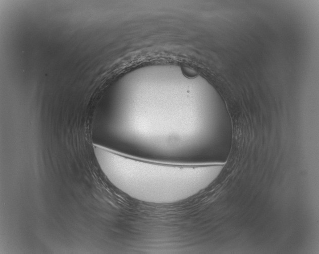 X0000063521490200601201111