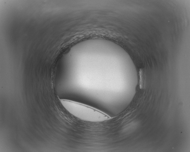 X0000063521491200601201111