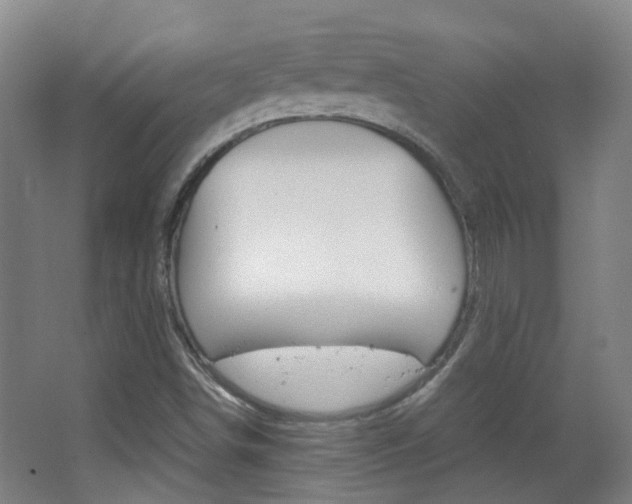 X0000063521498200601201111