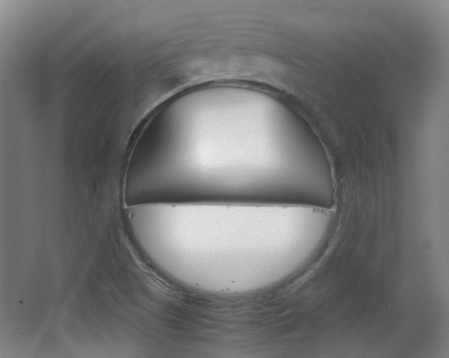 X0000063521505200601201111
