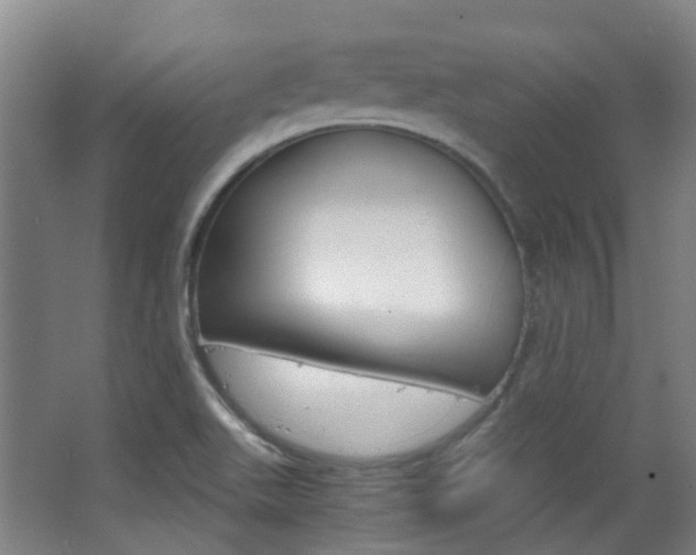 X0000063521511200601201111