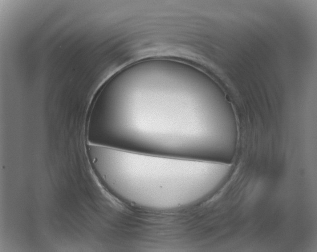X0000063521513200601201112
