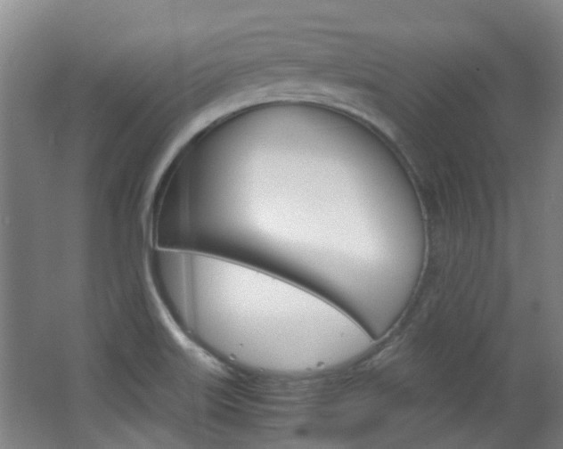 X0000063521515200601201112