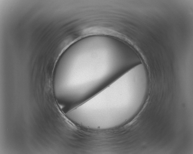 X0000063521529200601201112