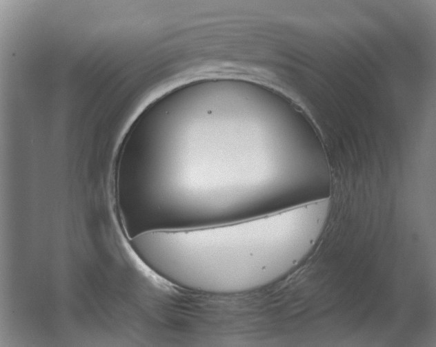 X0000063521531200601201112