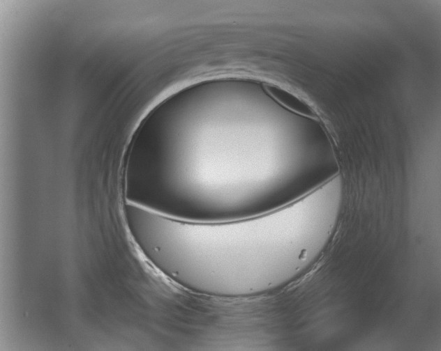 X0000063521534200601201112