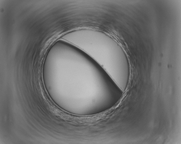 X0000063520001200601201445