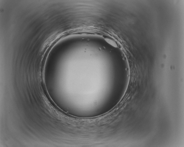 X0000063520002200601201445