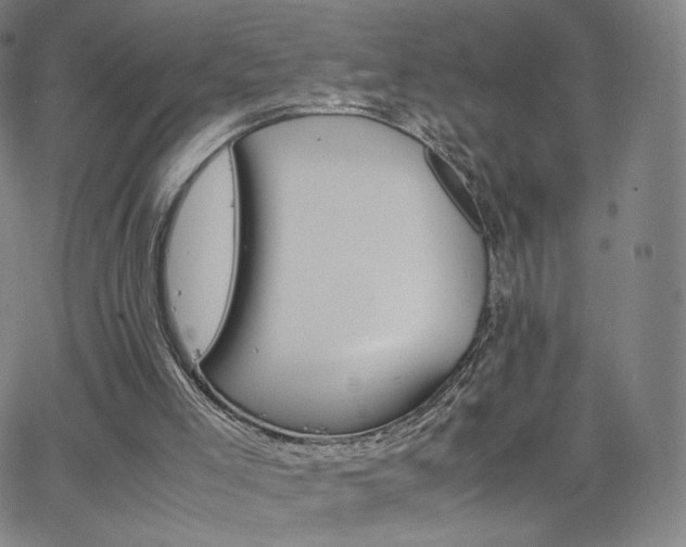 X0000063520005200601201445