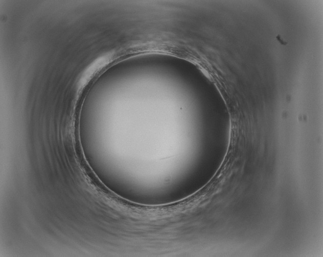 X0000063520006200601201445