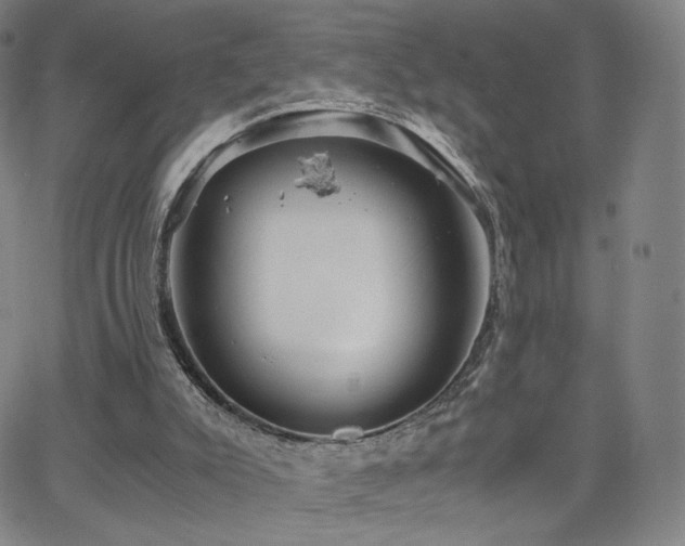 X0000063520007200601201445