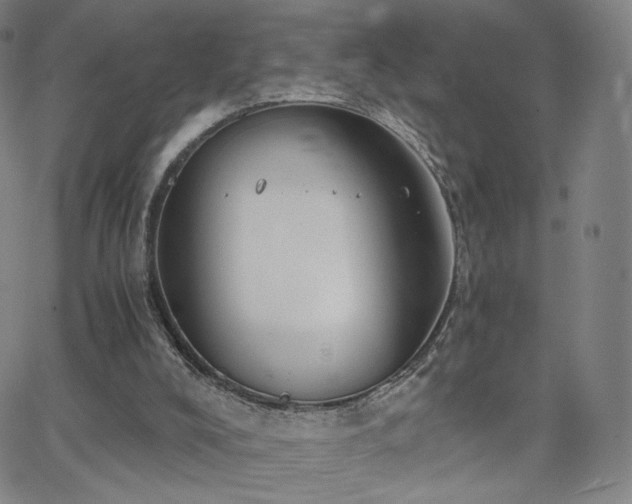 X0000063520008200601201445